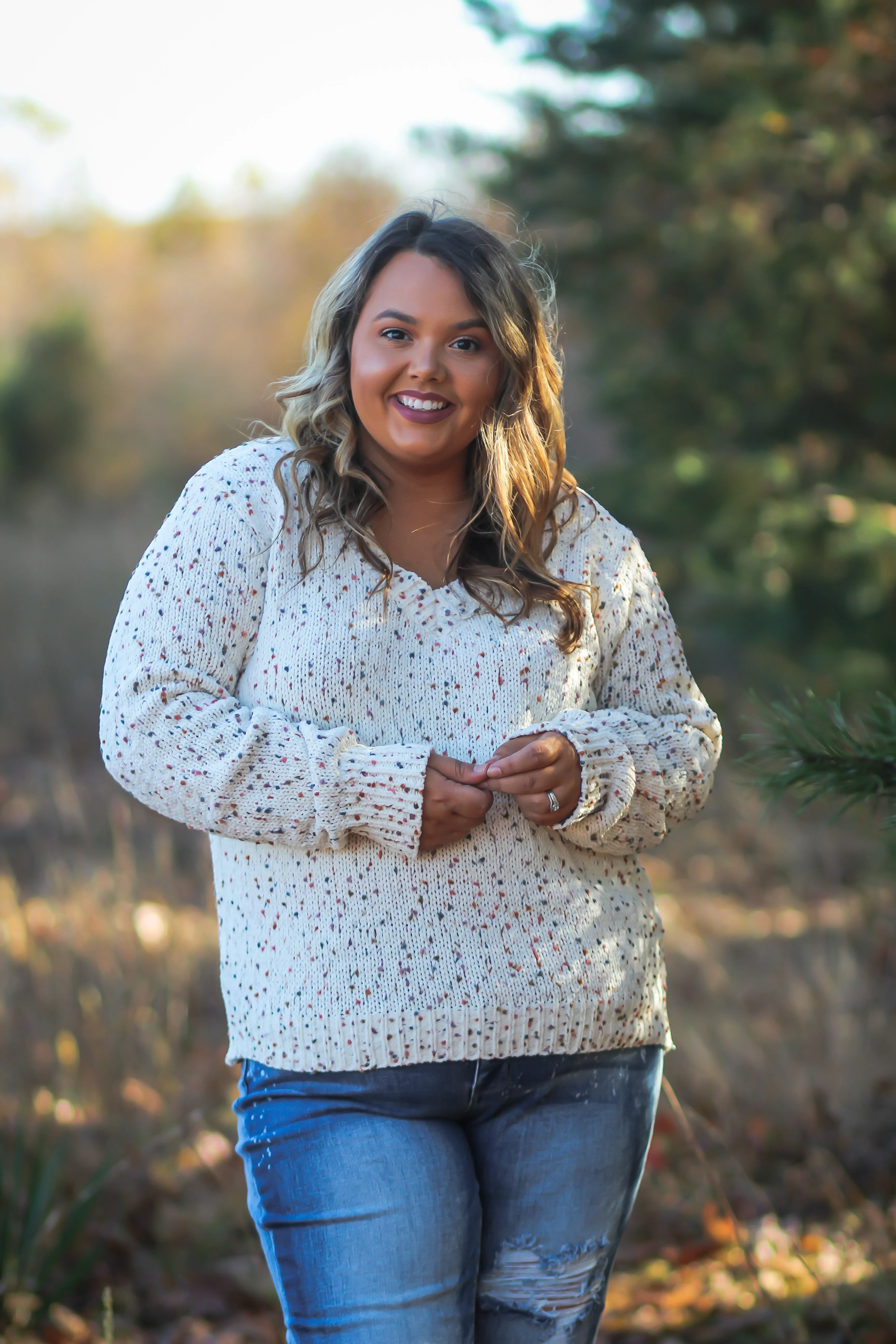 Curvy Cream Confetti V Neck Sweater