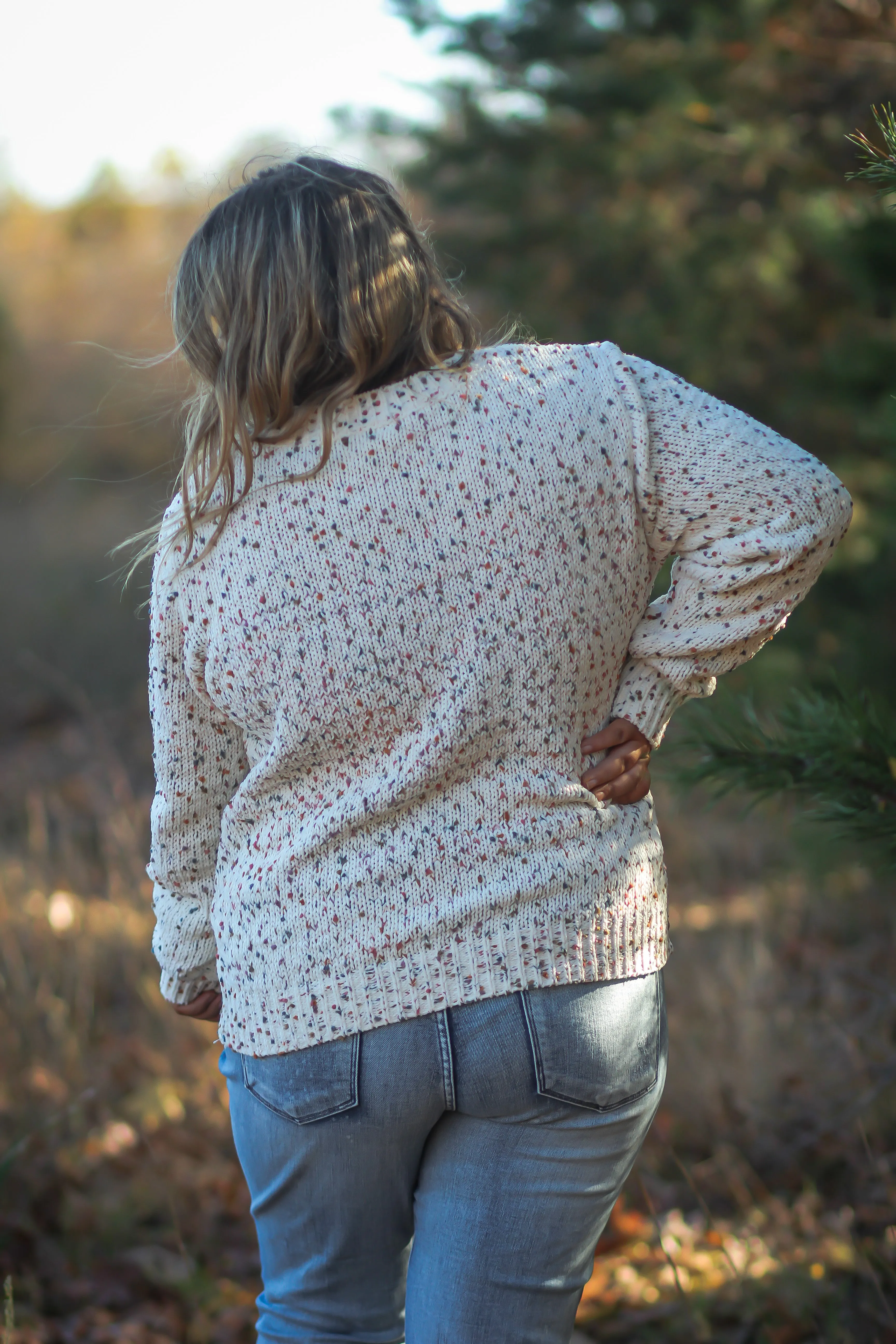Curvy Cream Confetti V Neck Sweater