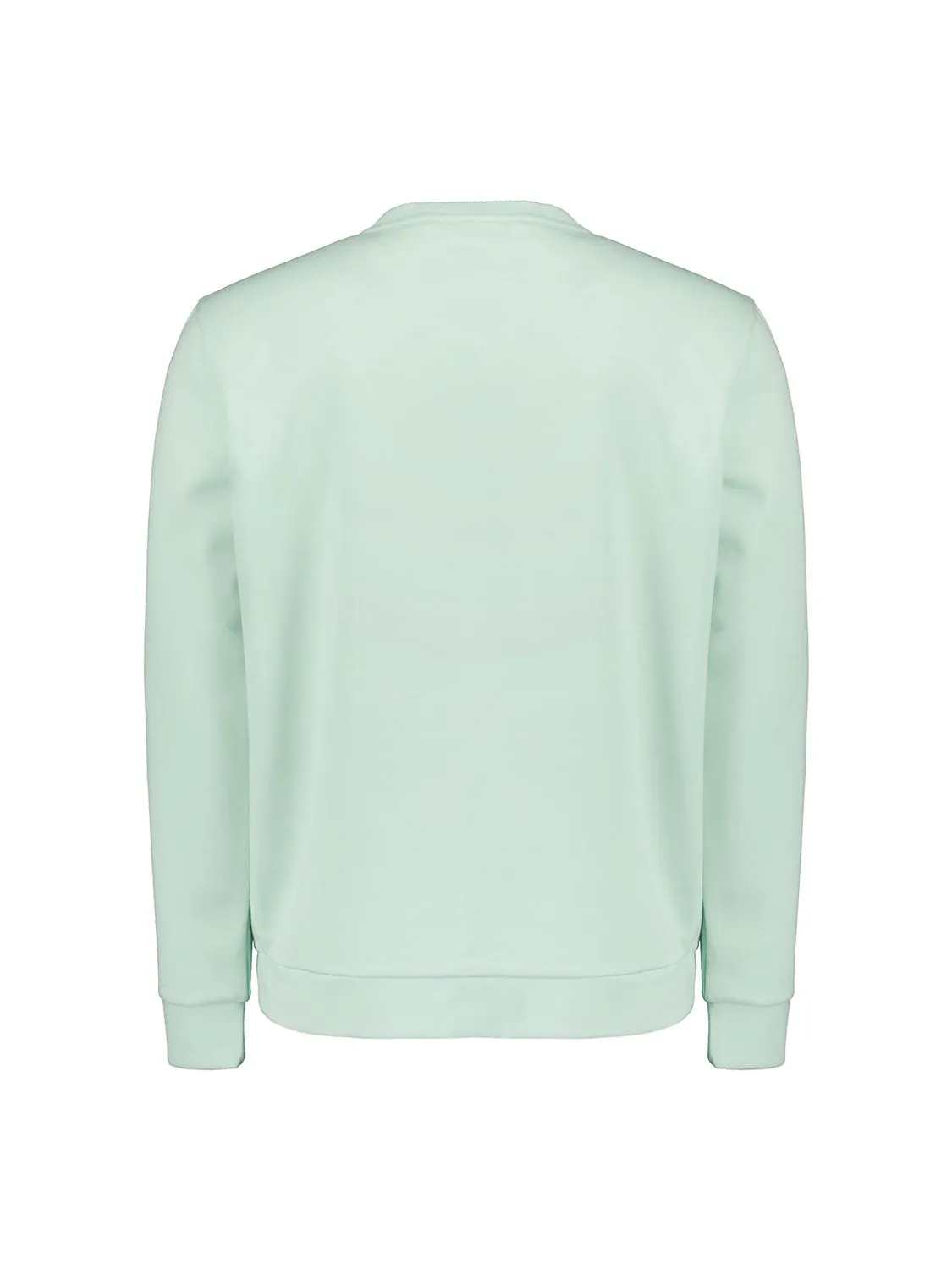 Sweater Crewneck | Mint